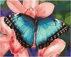 Картина за номерами: Крила-пелюстки
