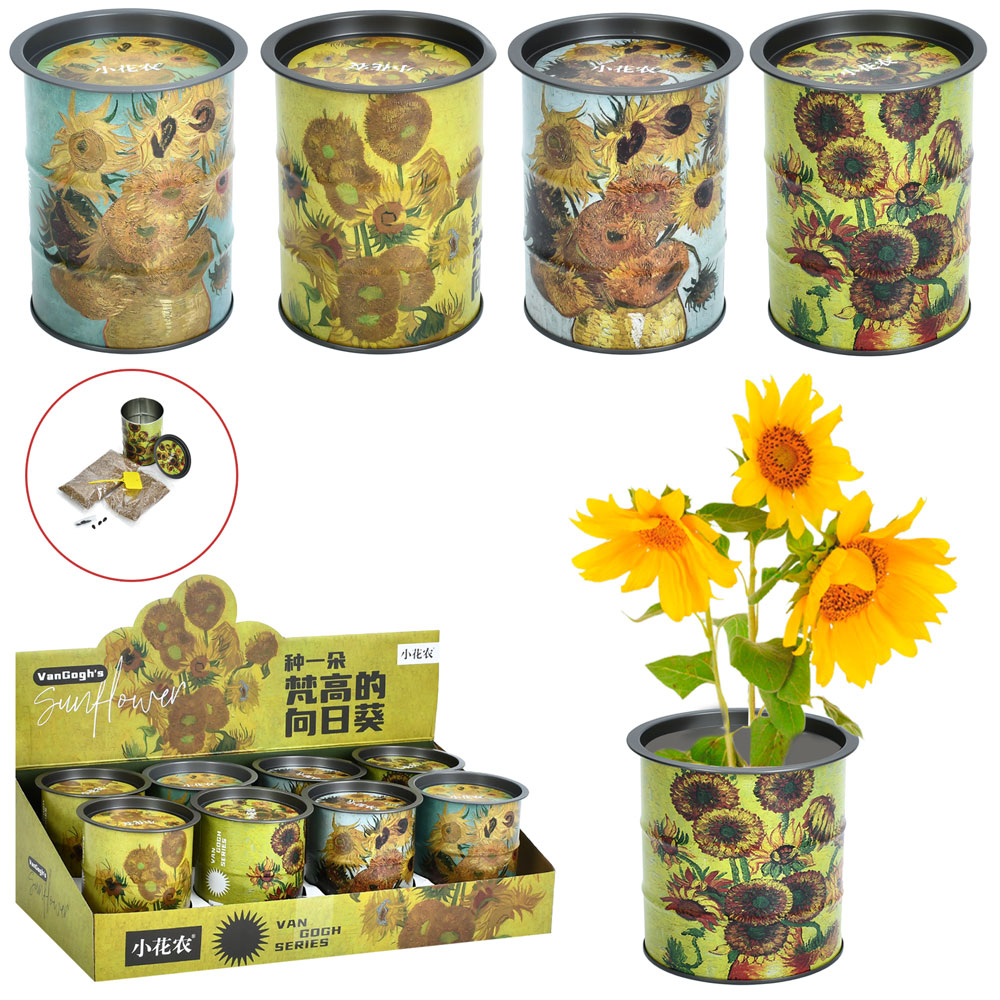 Набір для творчості X2024-095 колба (метал), грунт, насіння,4 види, 8шт. в диспл., 37,5-11-19 см.