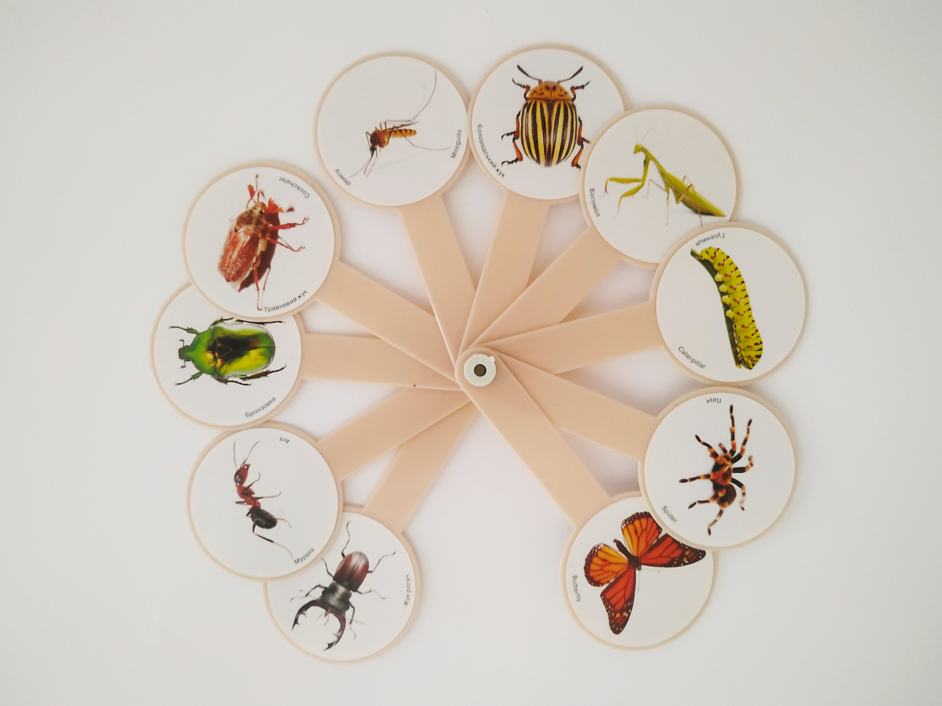 Віяло "Комахи"