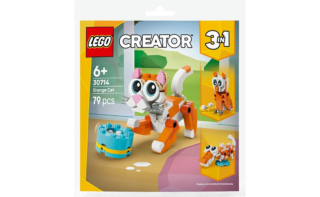 Конструктор Помаранчевий кіт