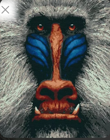 Набір для розпису "Вождь" ТМ "RIVIERA BLANCA", шт