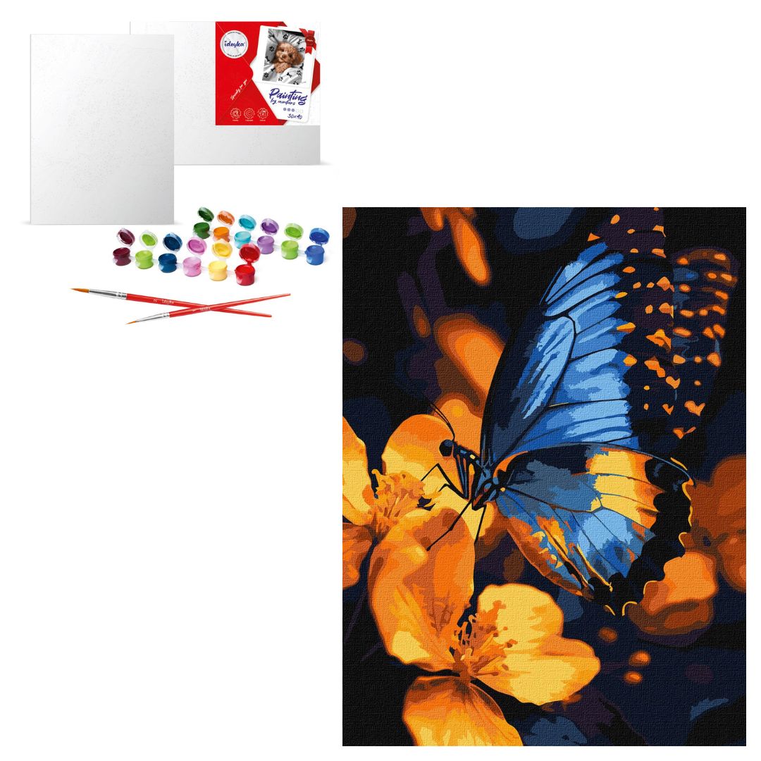 Набір для розпису по номерах "Мерехтіння крил" 30х40см