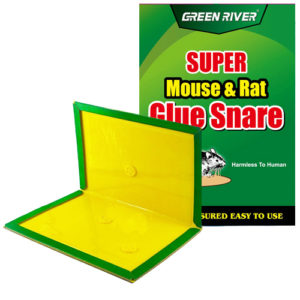 Мишоловка липка зелена "Super" 16*21см MH-5022