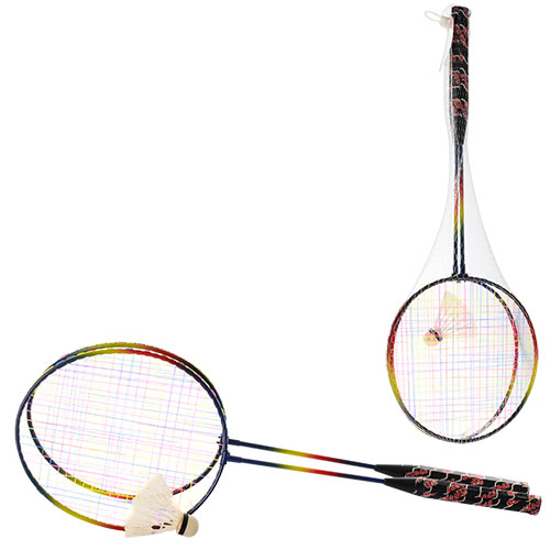 Бадмінтон залізний MS 0754 ракетки 2 шт., волан, веселка, сітка, 61,5-21,5-4,5 см.