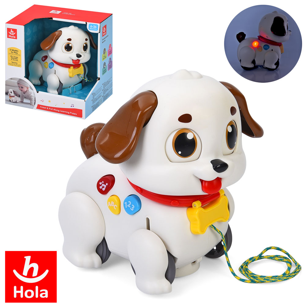 Собака HE9977 каталка, муз.-звук(англ),світло,їздить,рух. голова/очі/вушка,2 реж.гри та гуч.,на бат.