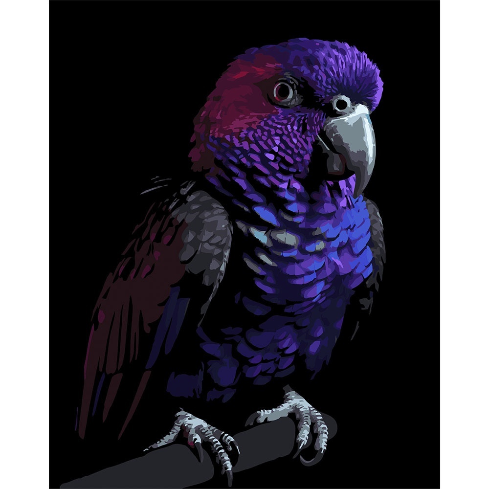 Картина за номерами Strateg Яскравий папуга на чорному фоні 40Х50 (AH1281)