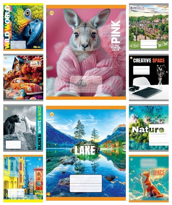 Зошит 36 арк.клітинка Тверда ТА51404 МІКС 3, 10к., 20/240