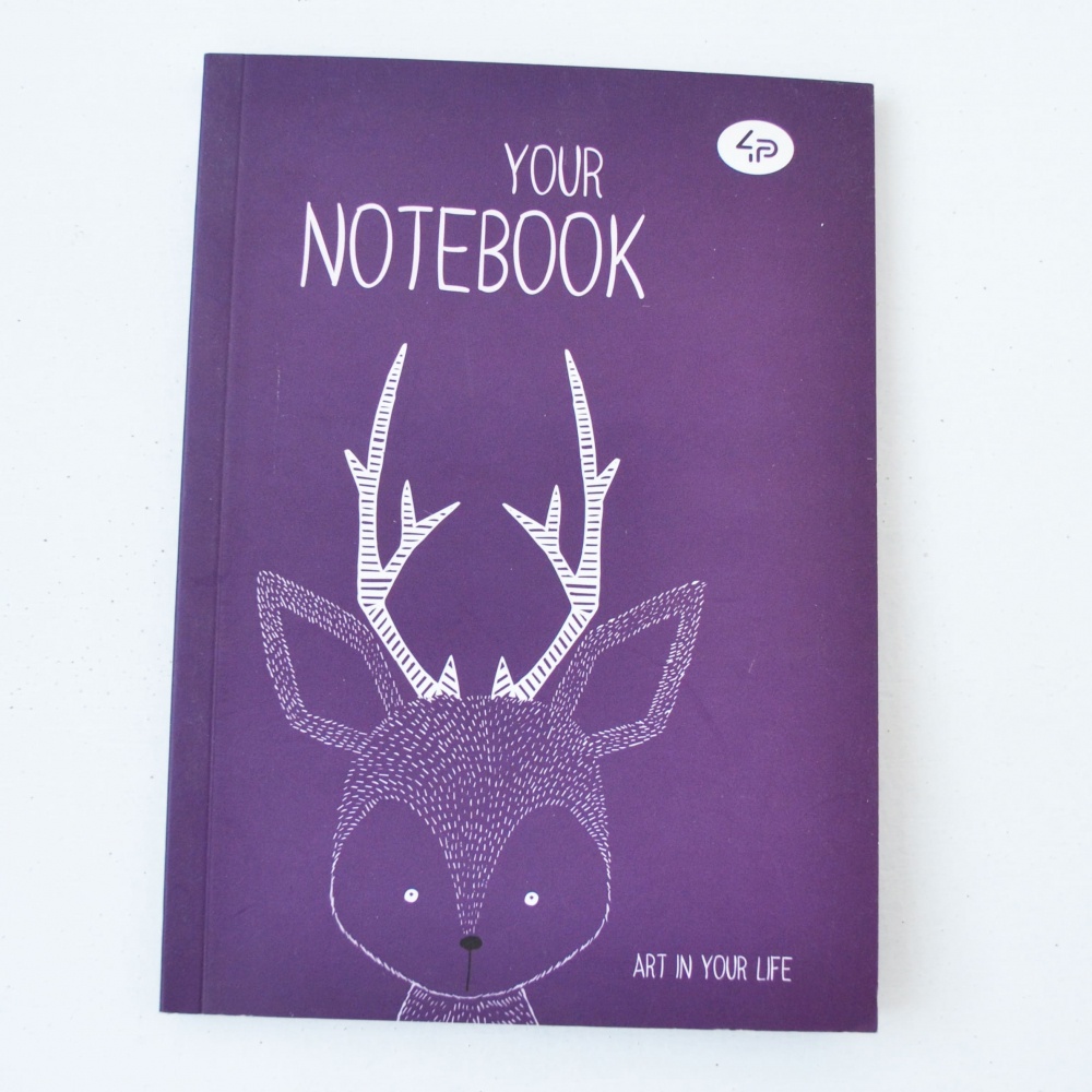 Блокнот TM Profiplan "Artbook" B6, violet
