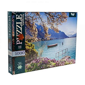 Пазли 1000 ел. C1000-10-01 02 03...10 (10) ВИДАЄТЬСЯ ТІЛЬКИ МІКС ВИДІВ, "Danko Toys" - 2 - smarttoys.com.ua