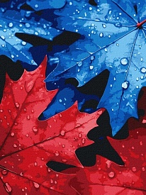 KHO "Осіння роса" 30х40см - 1 - smarttoys.com.ua