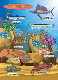 Книга Енциклопедія з наліпками.Мешканці морів та океанів - 5 - smarttoys.com.ua