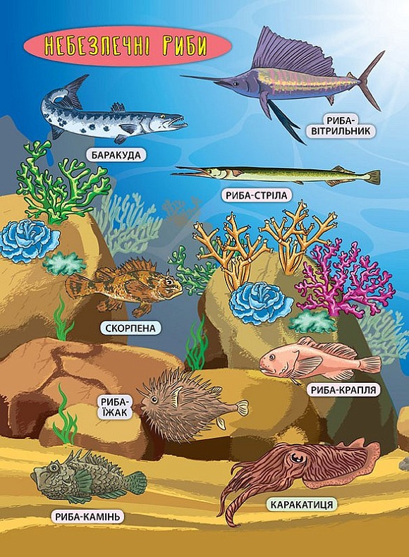 Книга Енциклопедія з наліпками.Мешканці морів та океанів - 5 - smarttoys.com.ua