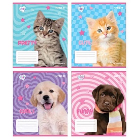 Зошит 12 арк., кос., софт тач + УФ лак, RH - 1 - smarttoys.com.ua