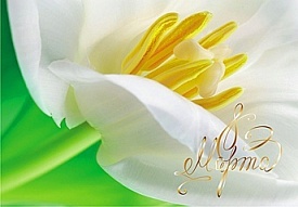 ГИГл-0057у  З 8 Березня - 1 - smarttoys.com.ua