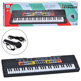 Синтезатор BX-1688S 61 клавіша, мікрофон, запис, регул. гучн., муз.,бат./мережа USB,кор.,71,5-23-9см - 1 - smarttoys.com.ua
