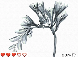 0074П1 Картина	"Туманні квіти" 40*50 см - 1 - smarttoys.com.ua