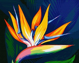 Набір для розпису "Райська пташка" ТМ "RIVIERA BLANCA", шт RB-0534 - 1 - smarttoys.com.ua