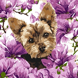 Набір для розпису по номерах "Йорк в магнолії" 40х40см - 1 - smarttoys.com.ua