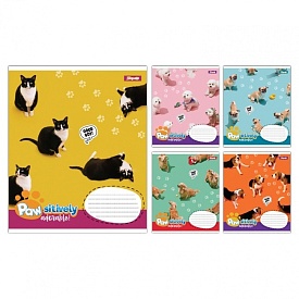 А5/12 кос. 1B Pawsitively, зошит учнівський шкільний - 1 - smarttoys.com.ua