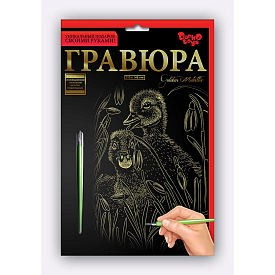 Гравюра А5 економ ГрА5 (60) "Danko Toys" - 17 - smarttoys.com.ua