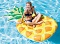 Intex Плотик 58761 EU "Ананас" розміром 216х124см - 2 - smarttoys.com.ua