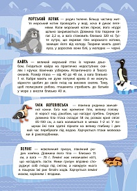 Книга Панорамка-енциклопедія. Арктика й Антарктика - 4 - smarttoys.com.ua