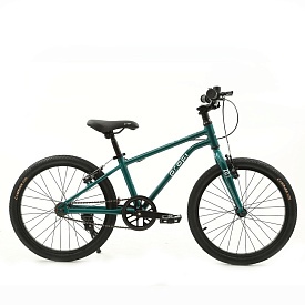 Велосипед дитячий 20д. PROF1 MB 20LIGHTY RAIN FOREST LIGHTY,SKD85,алюм.рама,кермо,торм,обода,зелений - 1 - smarttoys.com.ua