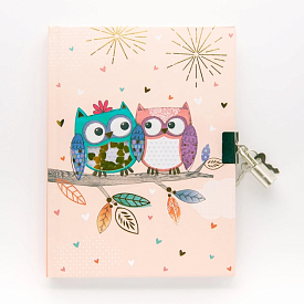 Блокнот дитячий на замочку з віконцем 178x130mm, 70g, 80 л, Совки - 1 - smarttoys.com.ua