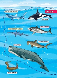 Книга Енциклопедія з наліпками.Мешканці морів та океанів - 4 - smarttoys.com.ua