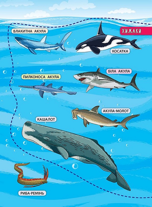 Книга Енциклопедія з наліпками.Мешканці морів та океанів - 4 - smarttoys.com.ua