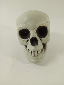 Играшка Голова черепа - 1 - smarttoys.com.ua