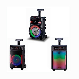 Колонка JT-828-838 8дюймів, акум., ручка+2колеса, FM, BТ, TFслот,пульт,мікрофон,2види,світло,кор. - 1 - smarttoys.com.ua