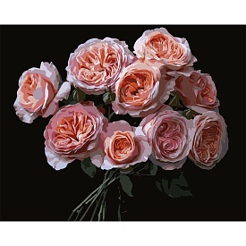Картина за номерами Strateg Рожеві квіти на чорному фоні 40Х50 (AH1256) - 1 - smarttoys.com.ua