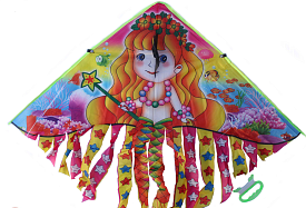 Повітряний змій (6018) - 1 - smarttoys.com.ua