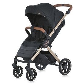 Візок дитячий ME 1053G-2 DYNAMIC PRO Special Black до 22кг,прогул.,регул.ручка,3пол.спинки,зол.рама. - 1 - smarttoys.com.ua