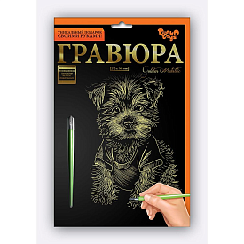 Гравюра А5 економ ГрА5 (60) "Danko Toys" - 7 - smarttoys.com.ua