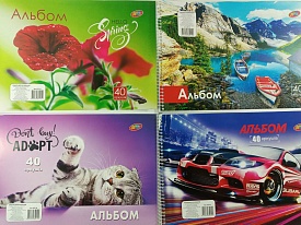 Альбом пруж 40арк. - 1 - smarttoys.com.ua