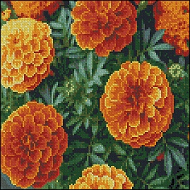 Алмазна картина Strateg Пишні чорнобривці 30х30 (FZ3030-34) - 1 - smarttoys.com.ua