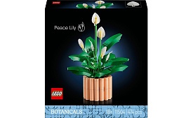 Конструктор Спатифілум - 1 - smarttoys.com.ua