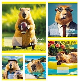 Зошит 24 арк.клітинка Тверда ТА51307 CAPYBARA, 20/320 - 1 - smarttoys.com.ua