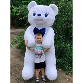 Ведмідь Боник (бб) 0114 Україна - 1 - smarttoys.com.ua