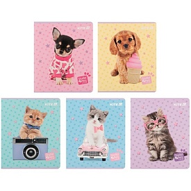 Зошит 24 арк., кл., софт тач + УФ лак, SP - 1 - smarttoys.com.ua