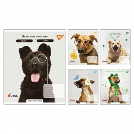 А5/48 кл. Yes Тварини URSA 2025, зошит учнівський загальний - 1 - smarttoys.com.ua