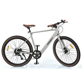 Електровелосипед 28д. MEB 700C DASH-4 мот250W,бат48V10AH,р-р кол .700*40C, сірий мат - 1 - smarttoys.com.ua