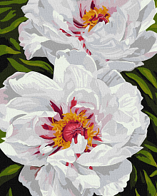 Набір для розпису по номерах. "Білі півонії" 40х50см - 1 - smarttoys.com.ua