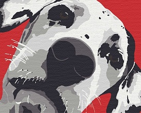 Набір для розпису "Плямка" ТМ "RIVIERA BLANCA", шт														 - 1 - smarttoys.com.ua