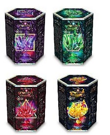 Набір для проведення дослідів "GROWING CRYSTAL" укр - 1 - smarttoys.com.ua