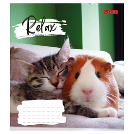А5/18 кл. 1В Relax choose, зошит учнів. ЦІНА ЗА 1 ЗОШИТ - 1 - smarttoys.com.ua