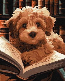 Набір для розпису по номерах. "Пухнастий читач" 40х50см - 1 - smarttoys.com.ua