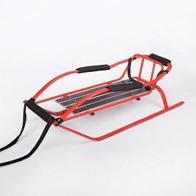 Санки «Скелетон» яскраво-червоний - 1 - smarttoys.com.ua